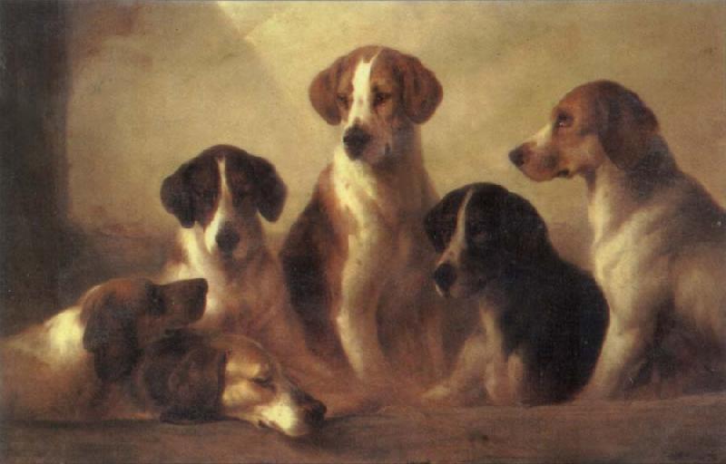 Edward Robert Smythe Hounds